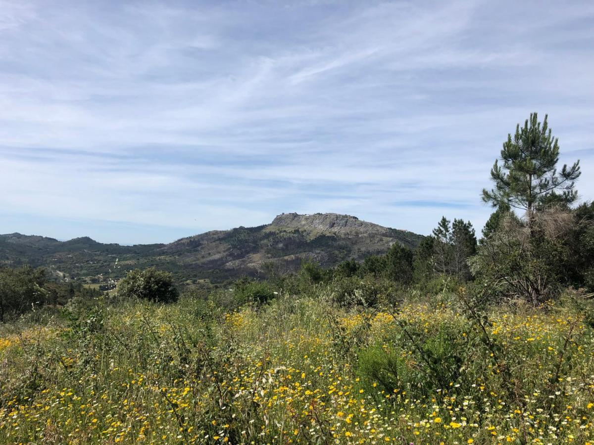 Varanda Do Alentejo Marvão 외부 사진